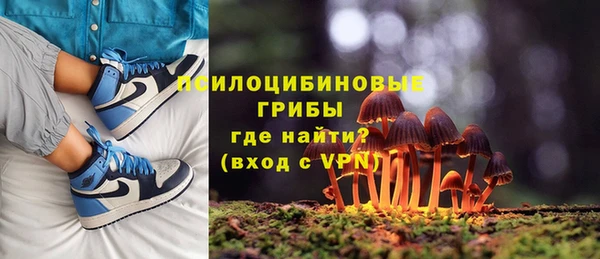 скорость Алексин