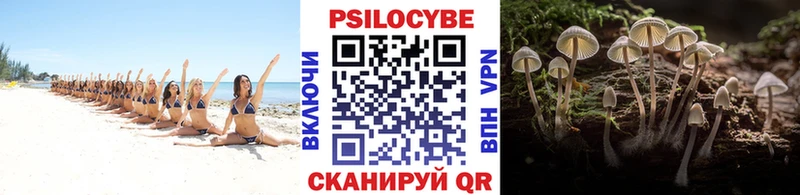 Галлюциногенные грибы Magic Shrooms  как найти закладки  Заозёрный 
